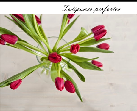 3 Tutoriales para hacer arreglos florales