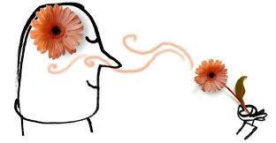 Image result for marketing olfativo