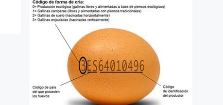huevos-ecologicos-4203