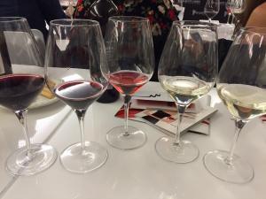 Antiqua Obergo Garnacha 2012 Cata de la Ruta Vino Somontano