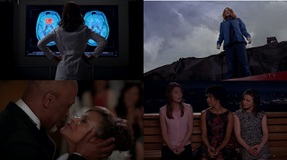 El año negro de Meredith Grey