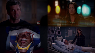 El año negro de Meredith Grey