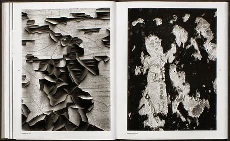 Otra realidad fotográfica