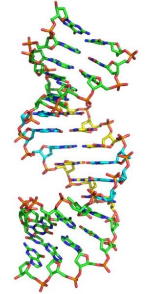 ADN: Expandiendo el código de la vida con nuevas ‘letras’