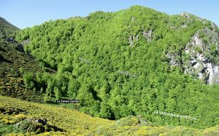 La Tchamera-Campos de Gobia-Braña Bustietchu-Senda las Cabras