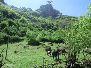 La Tchamera-Campos de Gobia-Braña Bustietchu-Senda las Cabras