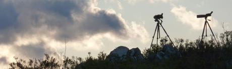 Foto de Lobisome Naturaleza