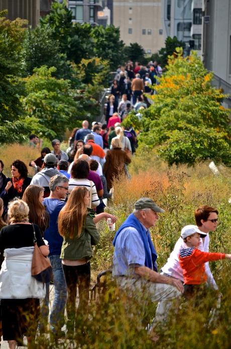 regeneración urbana sostenible
