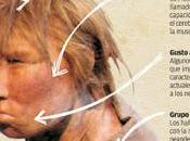 Neandertal. Hipótesis