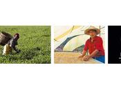 Suralia comercio justo para ayudar crecer