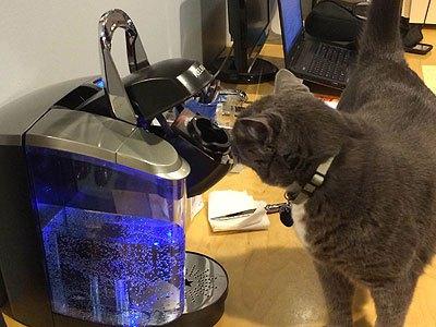 Oreo ante la máquina de café