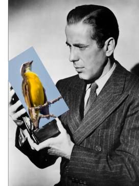 Folletín extraperiodístico (VIII): El gorrión maltés