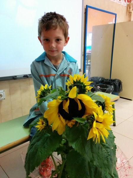 IMG_20150526_131220 (Copiar)