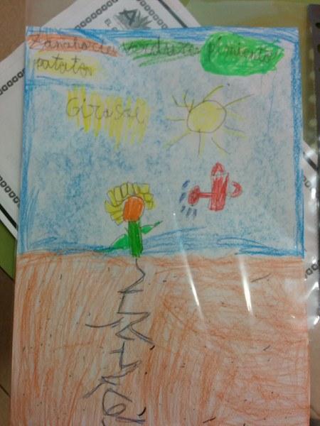 IMG_20150526_131509 (Copiar)