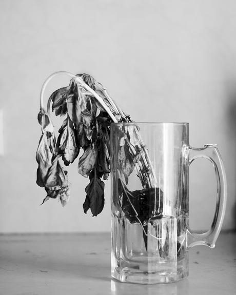 19 - black and white copy