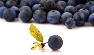 Alimentación y recetas 3. XXXIII