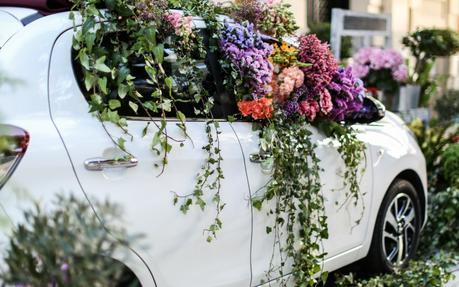 Jorge Juan se llena de flores en un mercadillo al aire libre flores02