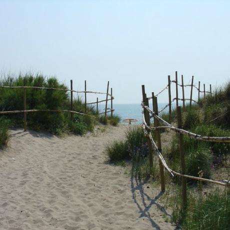 La playa del saler