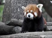 A.C. Fotoquinto organiza Jerez