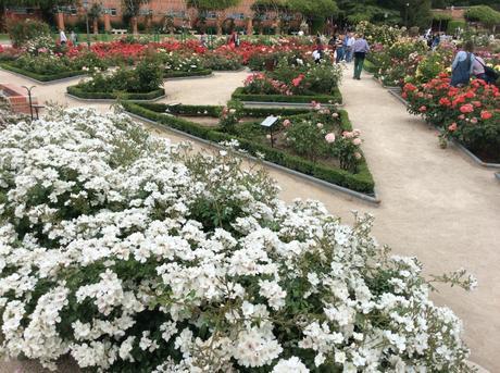 Jardines de La Rosaleda. Madrid