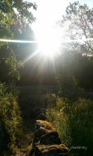 Despedidas y aprendizaje