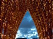 detalle territorio taller verano Colombia Bamboo Think Tank