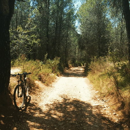 Fotos Campistas de la Semana. Parte 20.