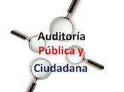 respaldo propuesta lanzamiento plataforma para Auditoría Pública Popular.