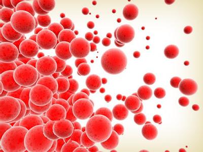 farmaceuticainmavinue