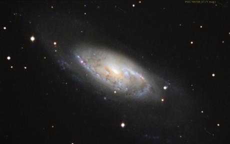 M106 0,63x c