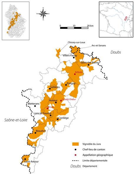 Mapa de vinos del Jura