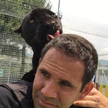 Black Jaguar White Tiger