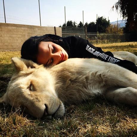 Black Jaguar White Tiger