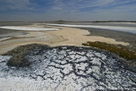 Laguna de La Albardiosa, Lillo