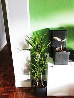 10 TRUCOS GENIALES DE DECORACIÓN