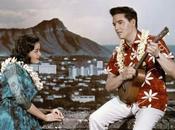moda Ukelele