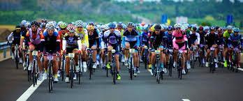 Quebrantahuesos Quebrantahuesos