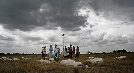 CICLA:Tierra en la lengua