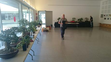 Preparando la exposicion