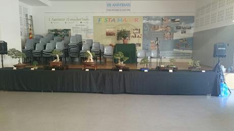 Preparando la exposicion