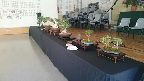 Preparando la exposicion