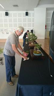 Preparando la exposicion