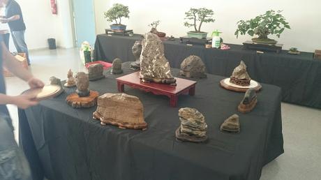 Preparando la exposicion