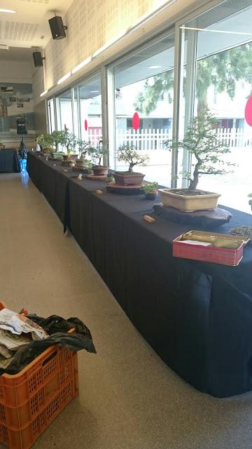 Preparando la exposicion