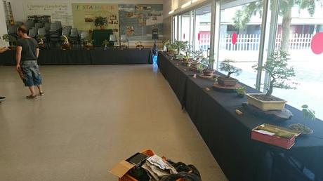 Preparando la exposicion