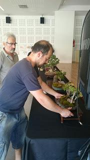 Preparando la exposicion