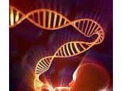 Test Paternidad Invasivo llega Venezuela