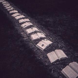 NO QUIERO ILUSIONARME...