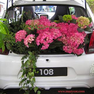 Las flores toman el asfalto