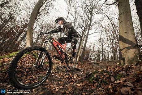 11081450_686292708147586_2802422572861760256_n